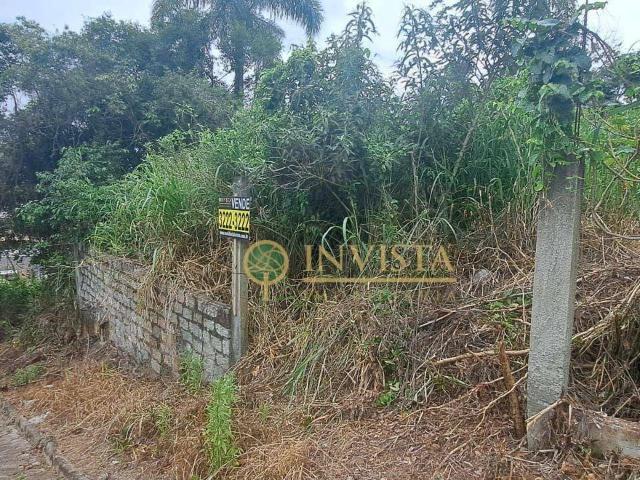 Terreno / Lote para Venda em Florianópolis/SC Ribeirão da Ilha