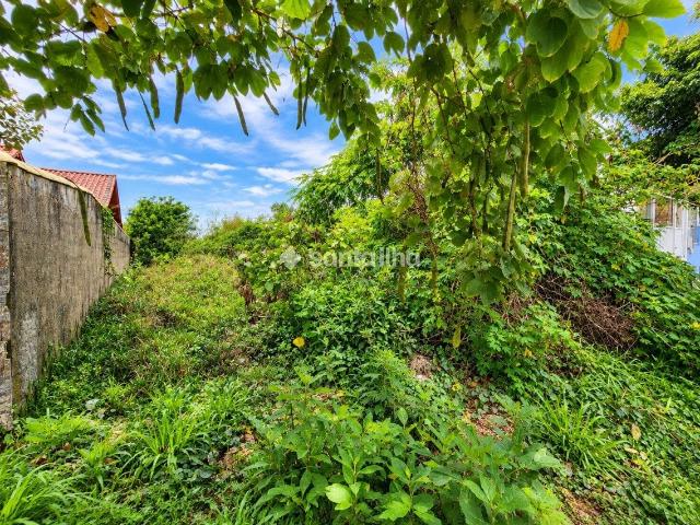 Terreno / Lote para Venda em Florianópolis/SC Ribeirão da Ilha