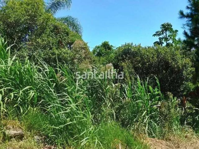 Terreno / Lote para Venda em Florianópolis/SC Ribeirão da Ilha
