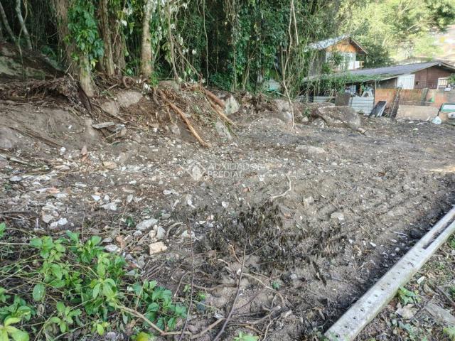 Terreno / Lote para Venda em Florianópolis/SC Ribeirão da Ilha