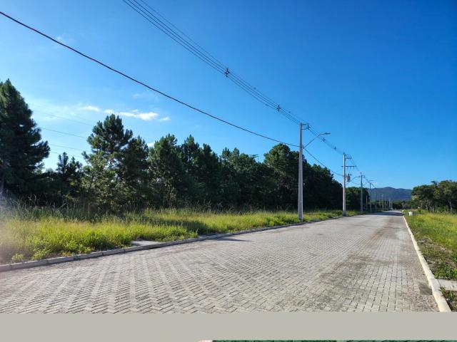 Terreno / Lote para Venda em Florianópolis/SC Ribeirão da Ilha