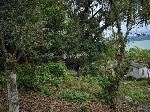 Terreno / Lote para Venda em Florianópolis/SC Ribeirão da Ilha