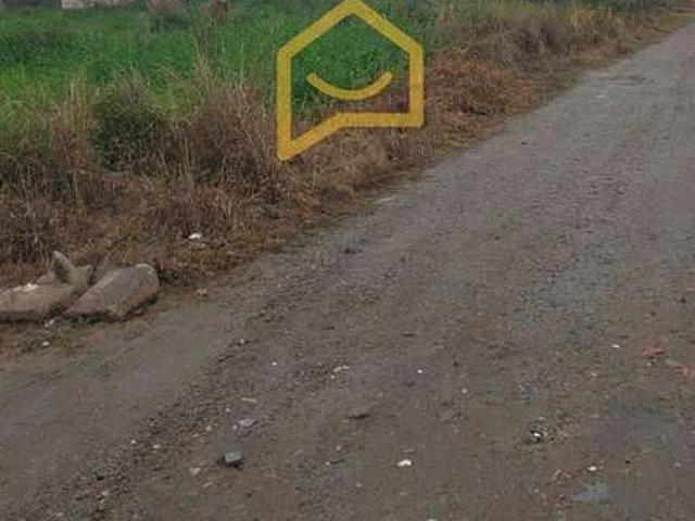 Terreno / Lote para Venda em Florianópolis/SC Ribeirão da Ilha