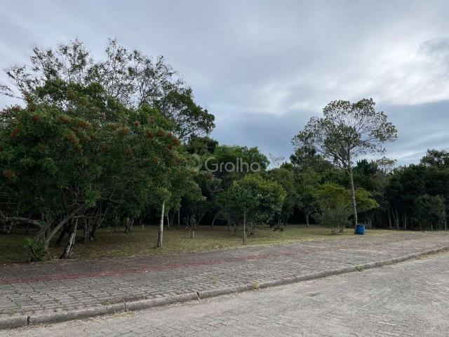 Terreno / Lote para Venda em Florianópolis/SC Ribeirão da Ilha