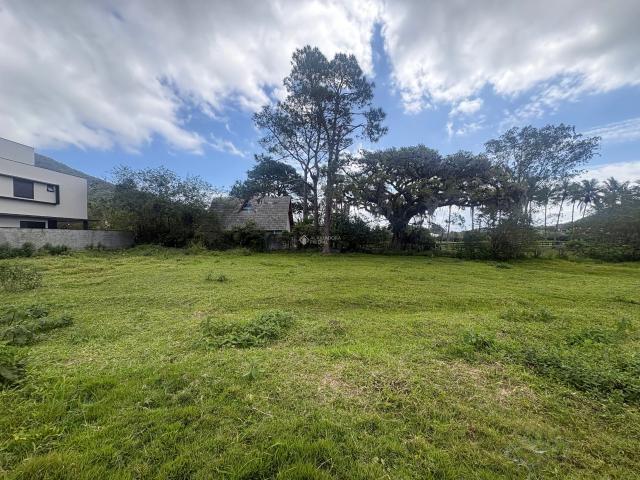 Terreno / Lote para Venda em Florianópolis/SC Ribeirão da Ilha