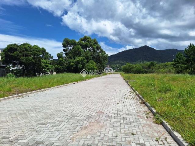 Terreno / Lote para Venda em Florianópolis/SC Ribeirão da Ilha