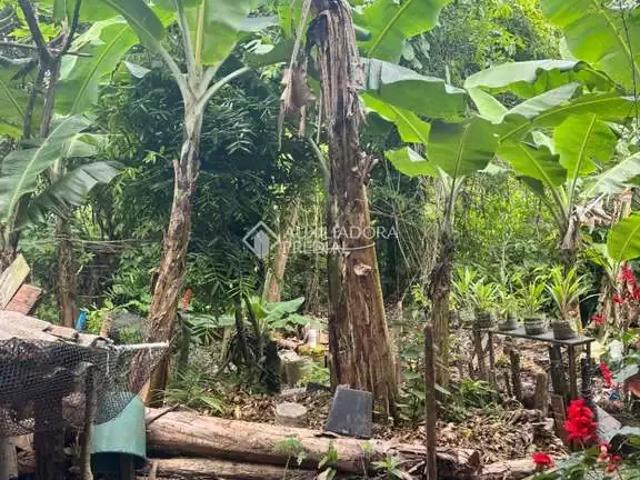 Terreno / Lote para Venda em Florianópolis/SC Ribeirão da Ilha
