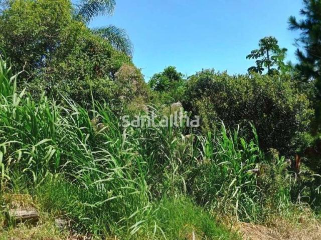 Terreno / Lote para Venda em Florianópolis/SC Ribeirão da Ilha