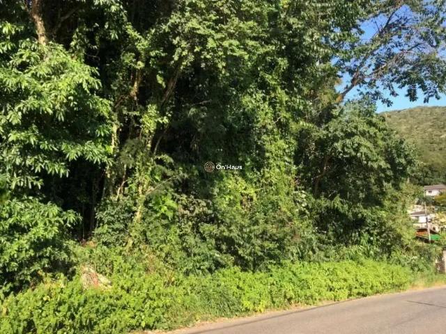 Terreno / Lote para Venda em Florianópolis/SC Ribeirão da Ilha