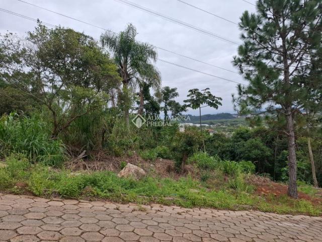 Terreno / Lote para Venda em Florianópolis/SC Ribeirão da Ilha