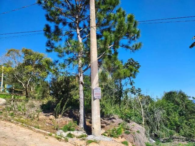 Terreno / Lote para Venda em Florianópolis/SC Ribeirão da Ilha