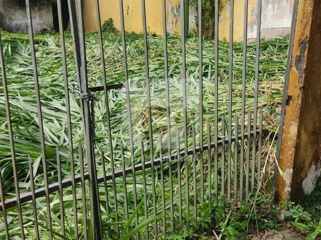 Terreno / Lote para Venda em Florianópolis/SC Rio Tavares