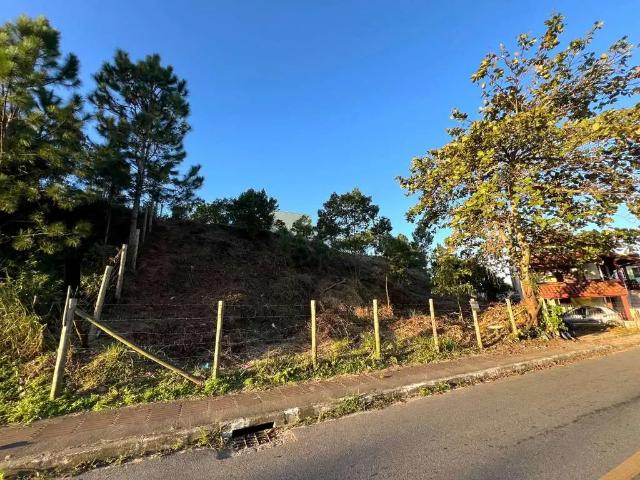 Terreno / Lote para Venda em Florianópolis/SC Rio Tavares
