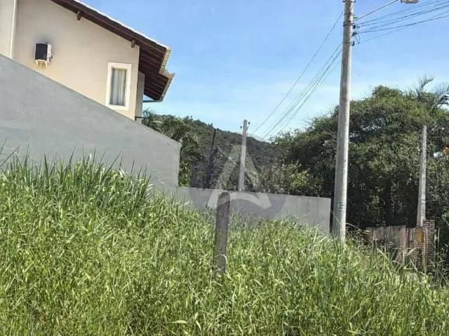 Terreno / Lote para Venda em Florianópolis/SC Rio Tavares