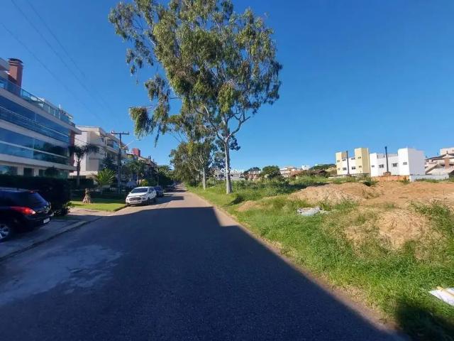 Terreno / Lote para Venda em Florianópolis/SC Rio Tavares