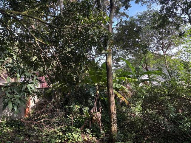Terreno / Lote para Venda em Florianópolis/SC Rio Tavares