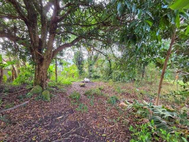 Terreno / Lote para Venda em Florianópolis/SC Rio Tavares