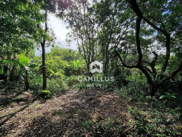 Terreno / Lote para Venda em Florianópolis/SC Rio Tavares