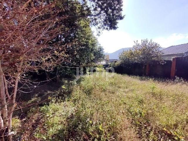 Terreno / Lote para Venda em Florianópolis/SC Rio Tavares
