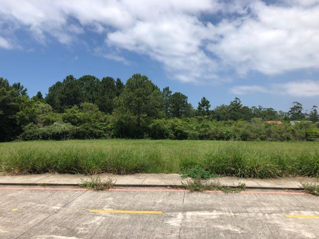 Terreno / Lote para Venda em Florianópolis/SC Rio Vermelho