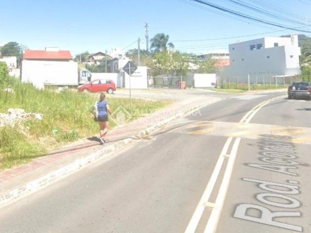 Terreno / Lote para Venda em Florianópolis/SC Tapera da Base