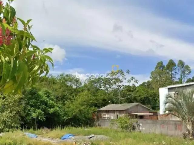Terreno / Lote para Venda em Florianópolis/SC Tapera da Base