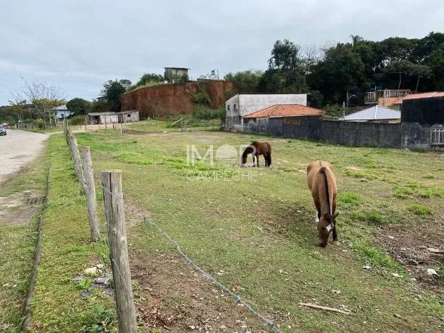 Terreno / Lote para Venda em Florianópolis/SC Tapera