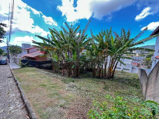 Terreno / Lote para Venda em Florianópolis/SC Trindade