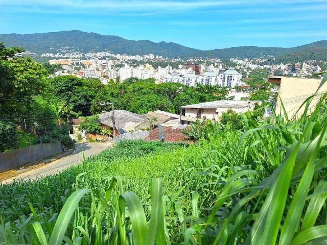 Terreno / Lote para Venda em Florianópolis/SC Trindade