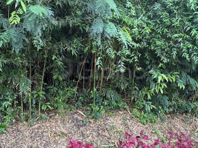 Terreno / Lote para Venda em Florianópolis/SC Trindade