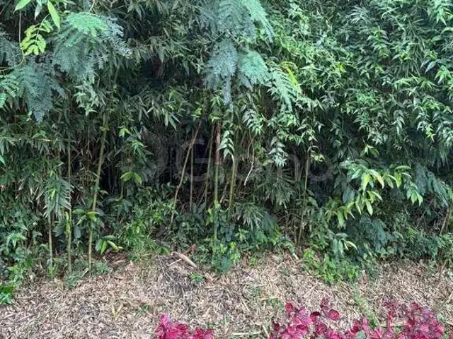 Terreno / Lote para Venda em Florianópolis/SC Trindade