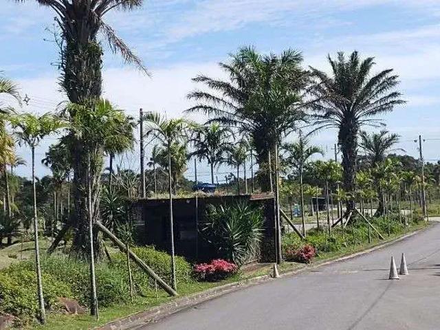 Terreno / Lote para Venda em Florianópolis/SC Vargem do Bom Jesus