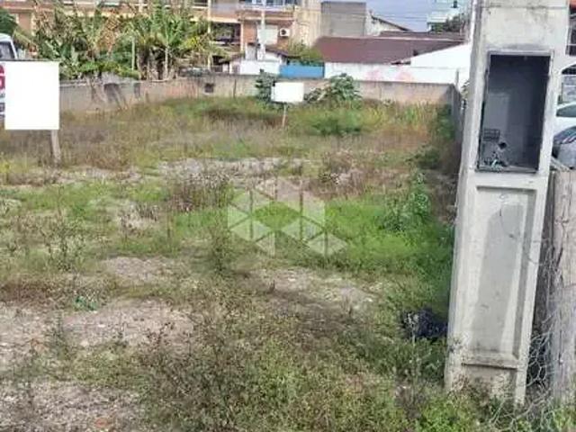 Terreno / Lote para Venda em Florianópolis/SC Vargem Grande