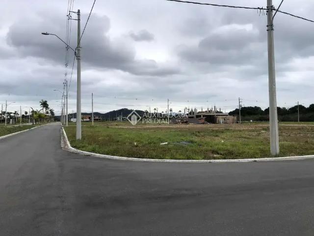 Terreno / Lote para Venda em Florianópolis/SC Vargem Grande