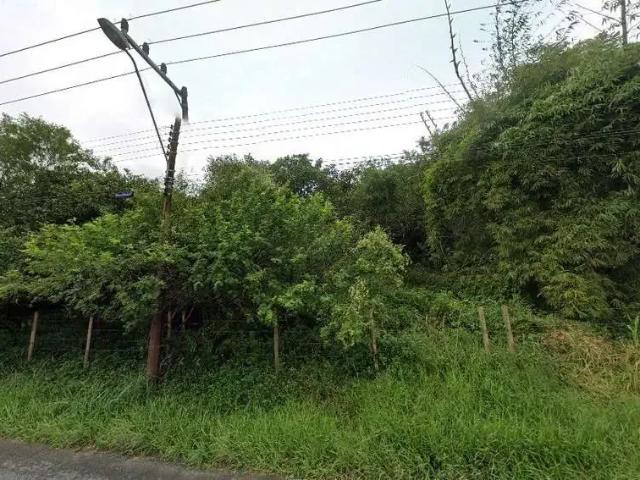 Terreno / Lote para Venda em Florianópolis/SC Vargem Grande