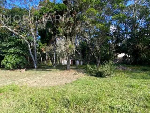 Terreno / Lote para Venda em Florianópolis/SC Vargem Grande