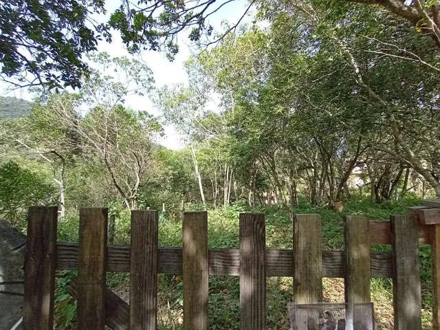 Terreno / Lote para Venda em Florianópolis/SC Vargem Grande