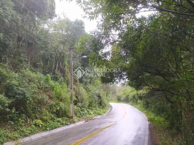 Terreno / Lote para Venda em Florianópolis/SC Vargem Grande