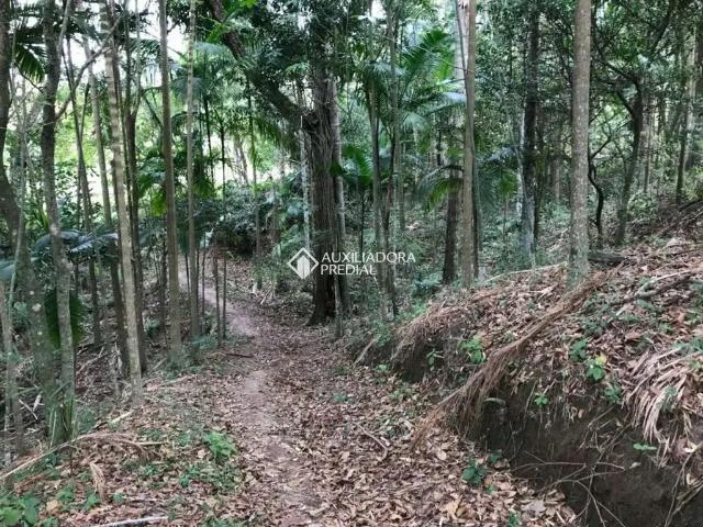 Terreno / Lote para Venda em Florianópolis/SC Vargem Grande