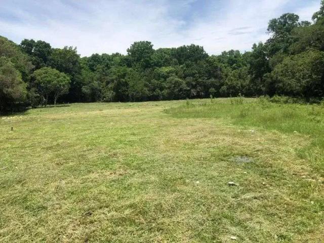 Terreno / Lote para Venda em Florianópolis/SC Vargem Pequena