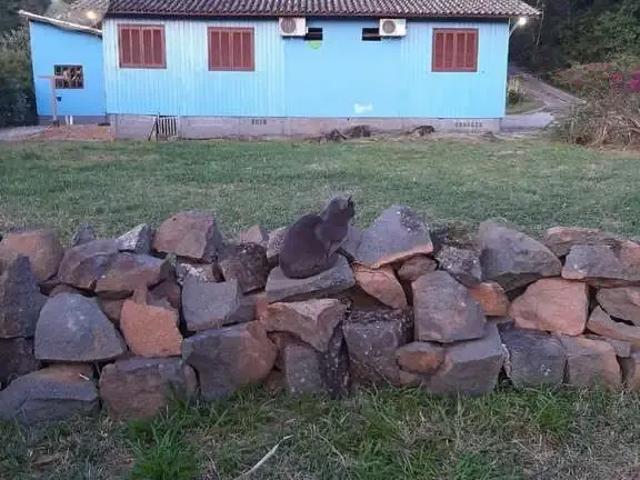 Terreno / Lote para Venda em Florianópolis/SC Vargem Pequena