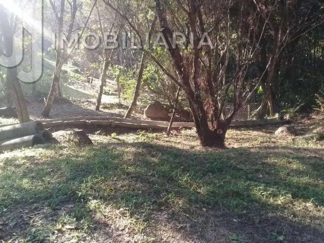 Terreno / Lote para Venda em Florianópolis/SC Vargem Pequena