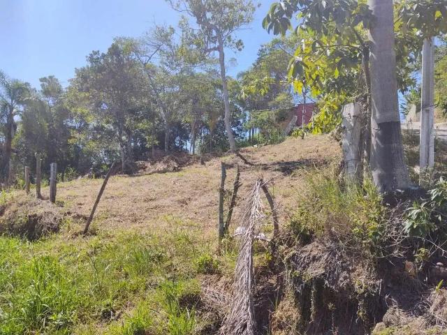 Terreno / Lote para Venda em Florianópolis/SC Vargem Pequena