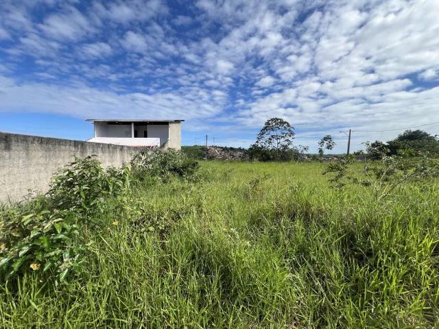 Terreno / Lote para Venda em Flexeiras/AL Centro