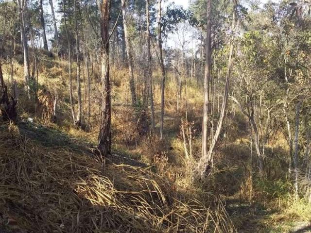 Terreno / Lote para Venda em Franco da Rocha/SP Jardim dos Lagos