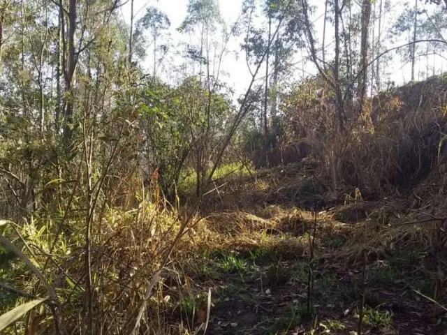 Terreno / Lote para Venda em Franco da Rocha/SP Jardim dos Lagos