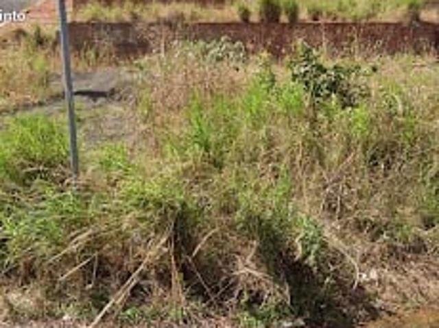 Terreno / Lote para Venda em Franca/SP Vila Regina