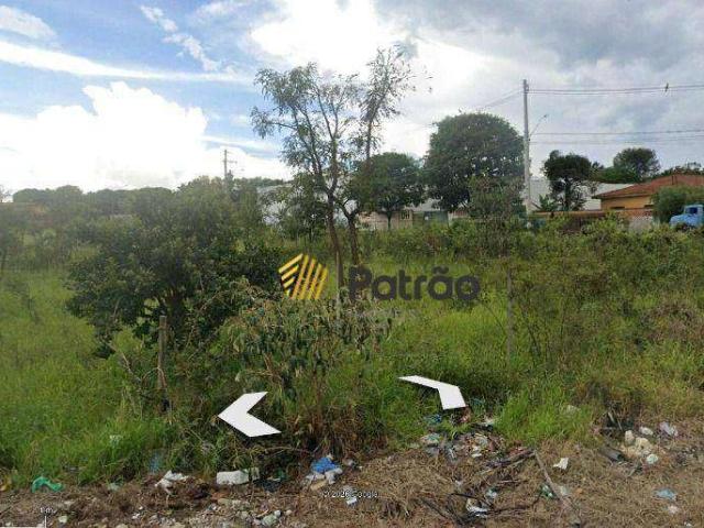 Terreno / Lote para Venda em Franca/SP Parque das Árvores