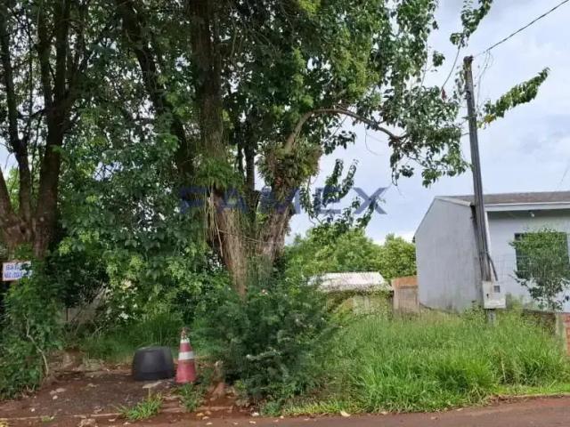 Terreno / Lote para Venda em Francisco Beltrão/PR Marrecas
