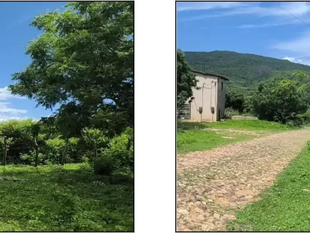 Terreno / Lote para Venda em Francisco Beltrão/PR Água Branca